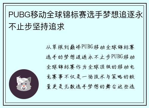 PUBG移动全球锦标赛选手梦想追逐永不止步坚持追求
