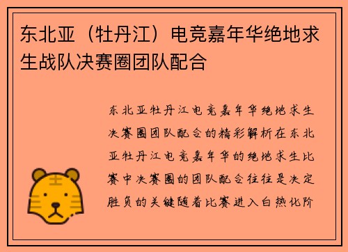 东北亚（牡丹江）电竞嘉年华绝地求生战队决赛圈团队配合